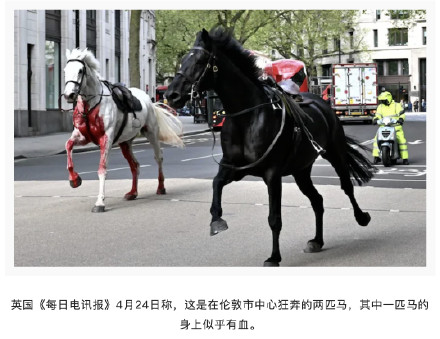 英媒：英国皇家骑兵队几匹马失控在伦敦市中心街头狂奔，有巴士玻璃被撞碎