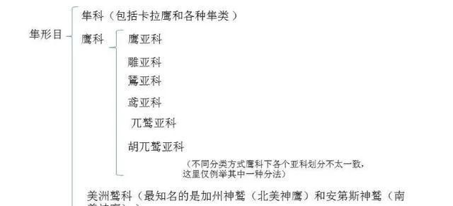 别被外表的“潦草萌”骗了,它可是霸气侧漏的“猫王”! 别被外表的“潦草萌”骗了,它可是霸气侧漏的“猫王”!