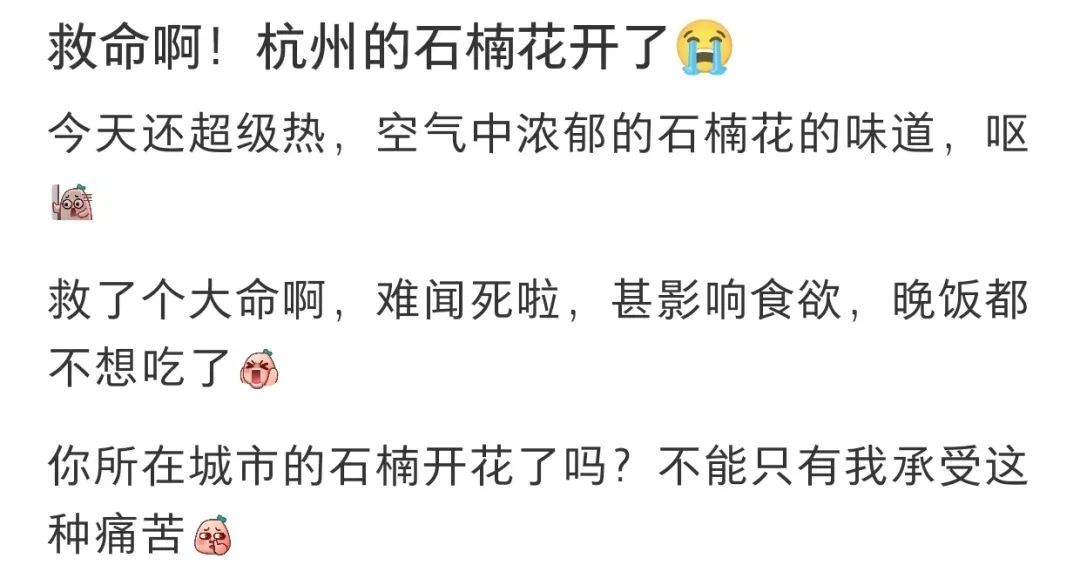 杭州街头,最近不少人被"yuě"到!原来是因为它 杭州街头,最近不少人被"yuě"到!原来是因为它