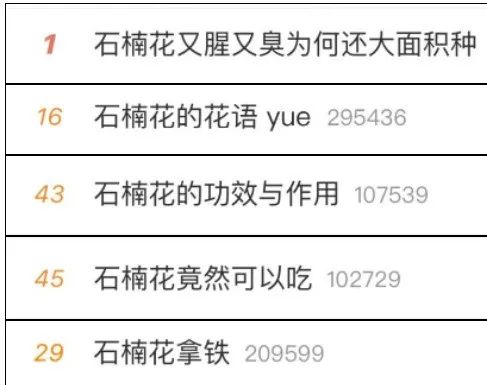 杭州街头,最近不少人被"yuě"到!原来是因为它 杭州街头,最近不少人被"yuě"到!原来是因为它