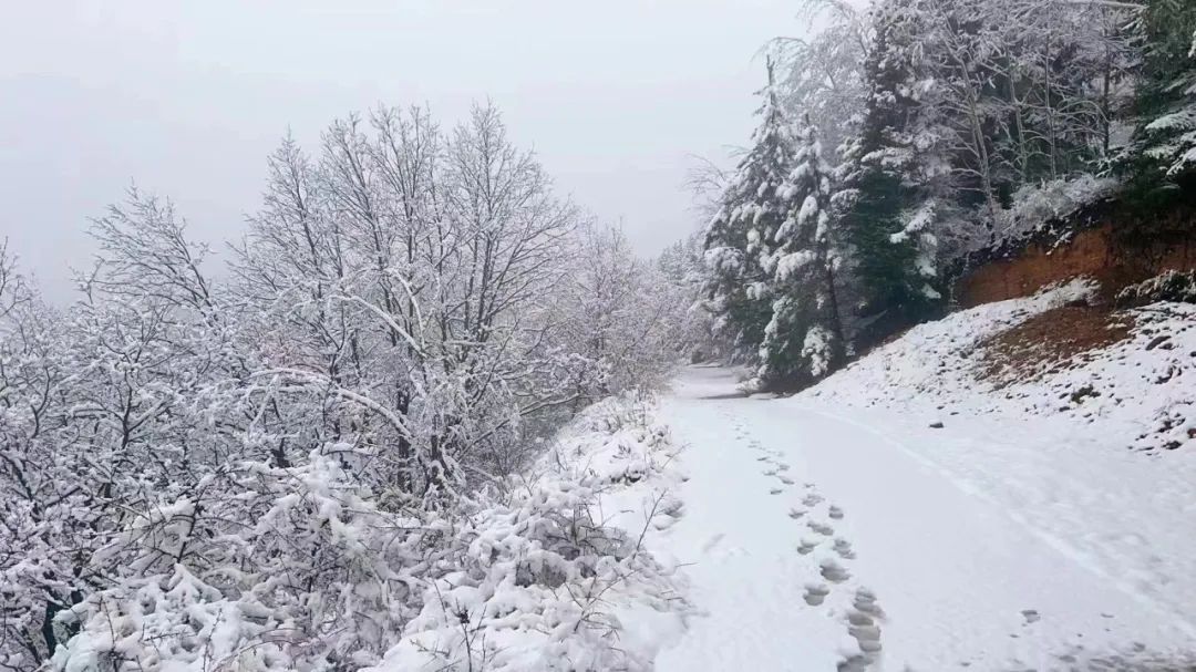 内蒙古这里下雪了？月底前还有冷空气！