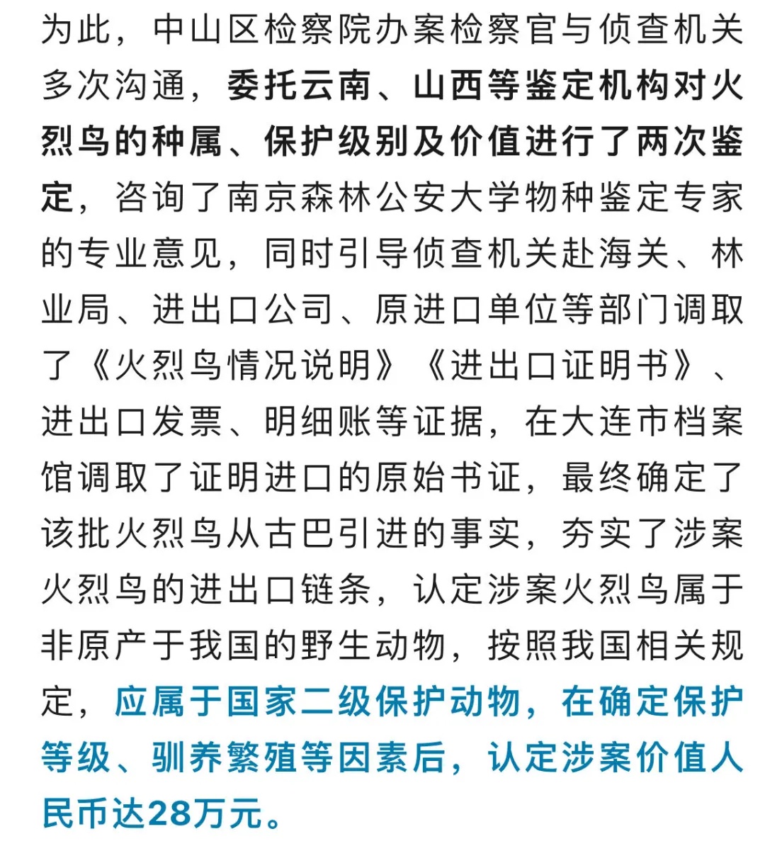 感觉火烈鸟“嘲笑”他，男子酒后打死14只！法院判了