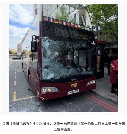 英媒：英国皇家骑兵队几匹马失控在伦敦市中心街头狂奔，有巴士玻璃被撞碎