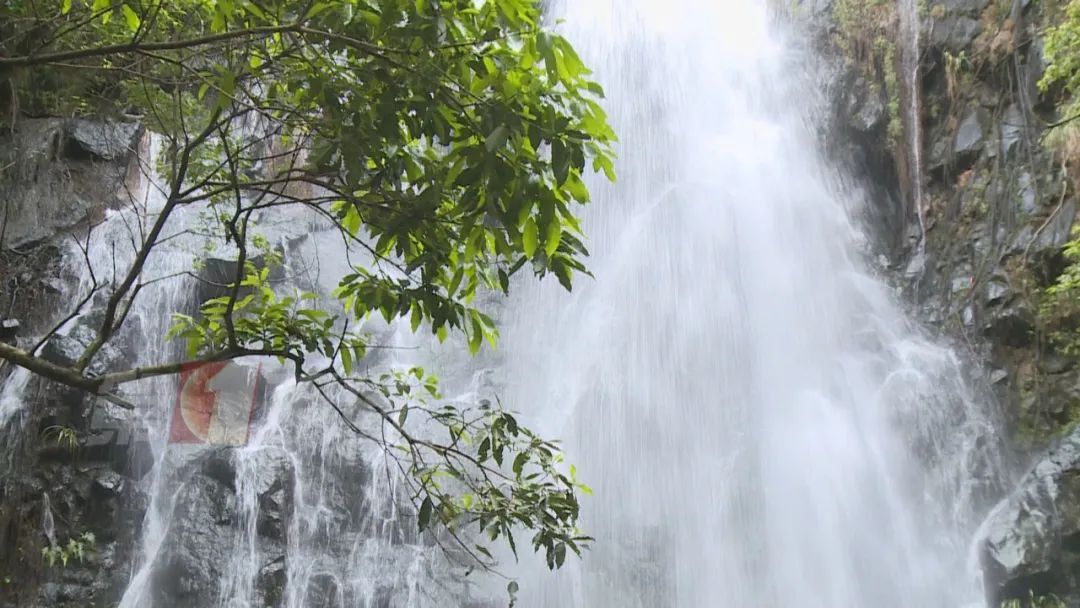 暴雨期间瀑布成网红打卡点？ 管理部门：不可能！因为…