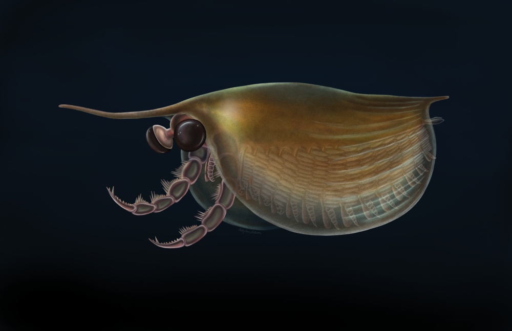 让灭绝生物“重生”，这些科研利器立功了！