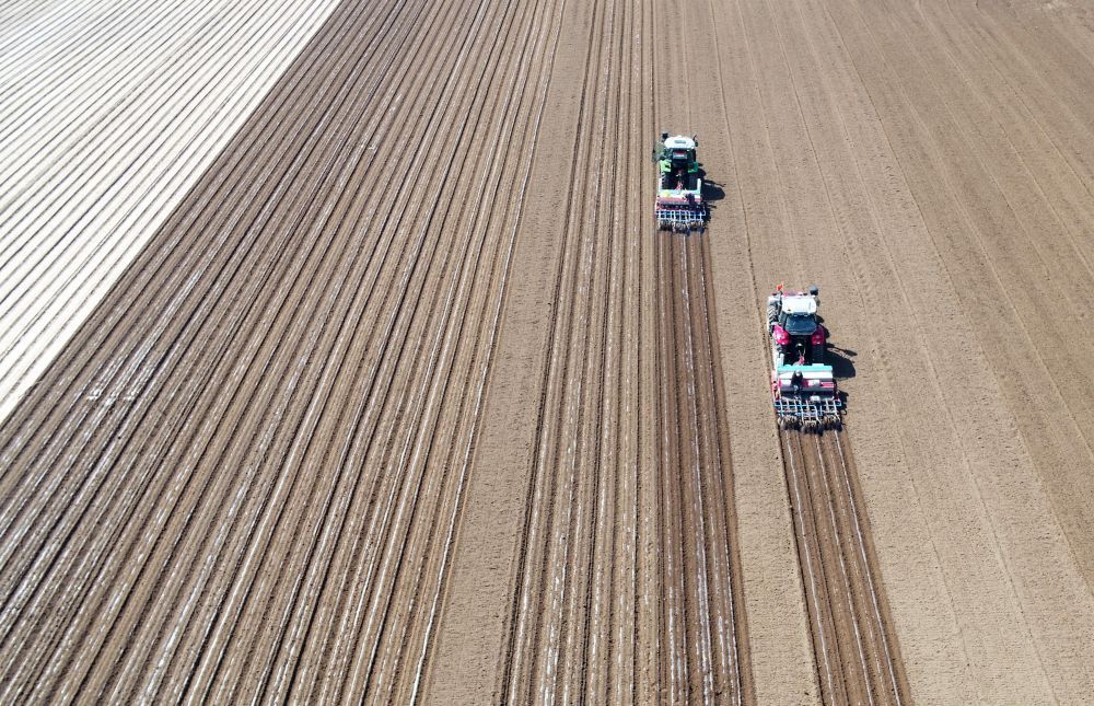 河北大城:播种花生忙 河北大城:播种花生忙