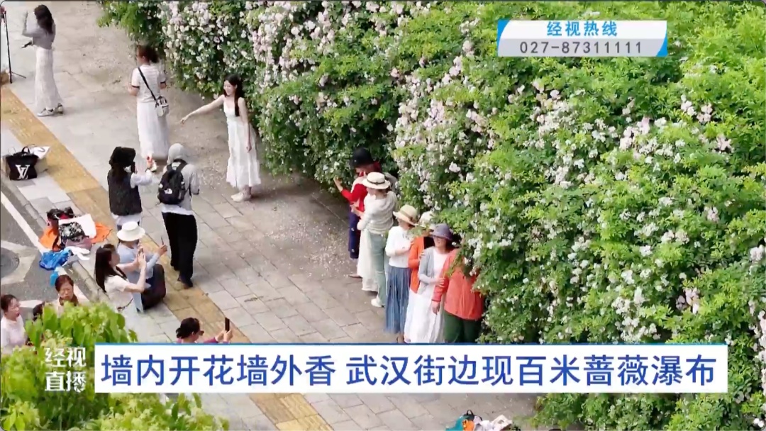 “这是在考验我的素质吗！”武汉满大街都是，网友：忍不住啊……