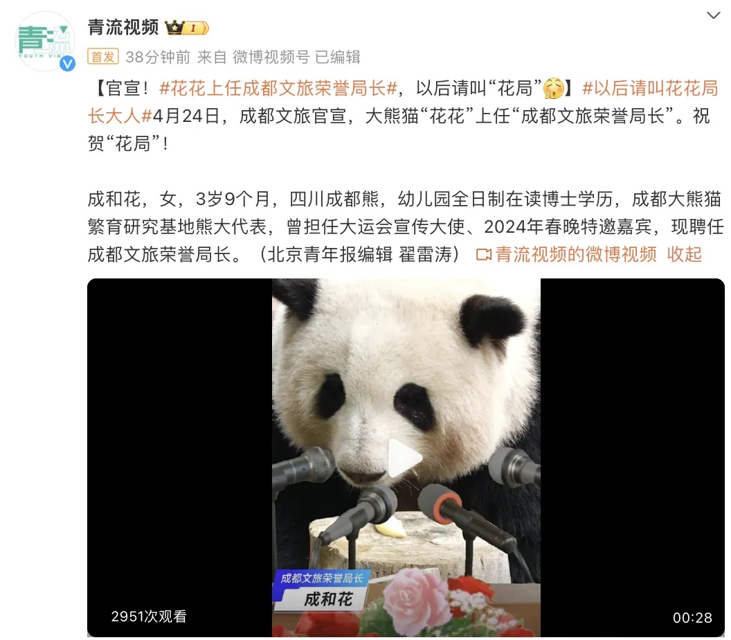 大熊猫“花花”担任成都文旅局荣誉局长