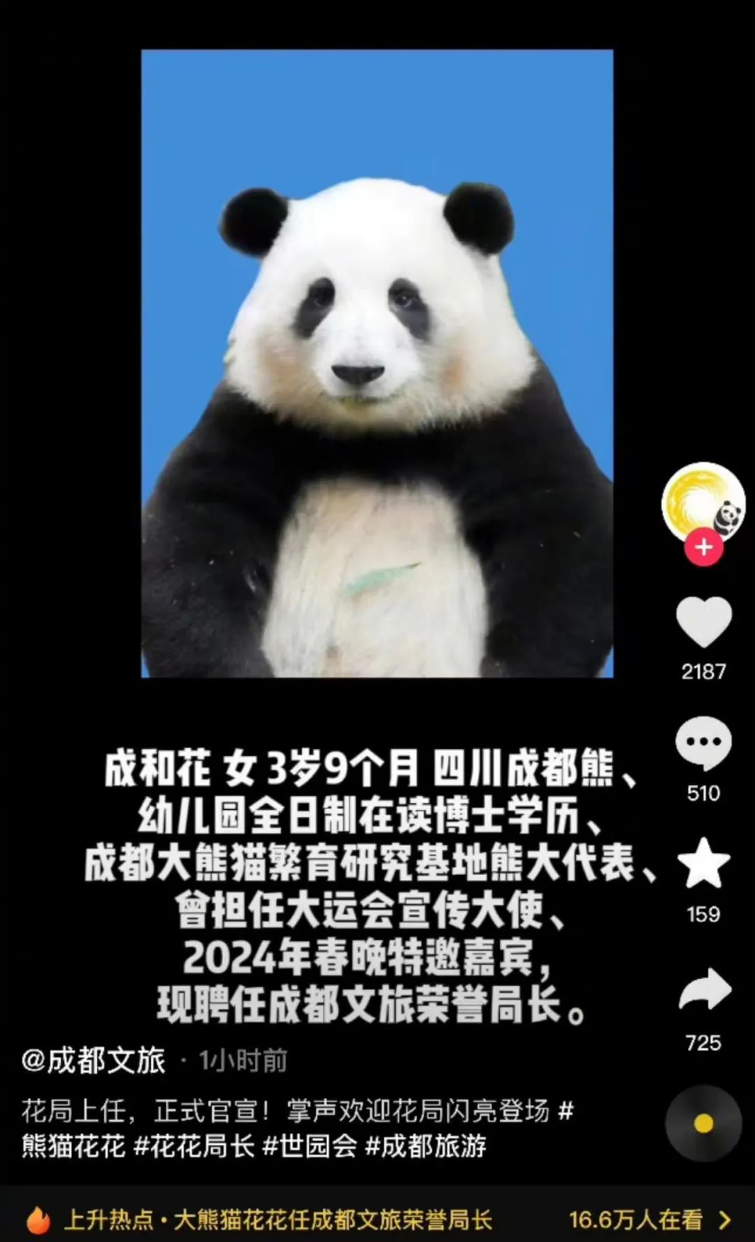 成都官宣：“花局”上任，简历公布！全网沸腾