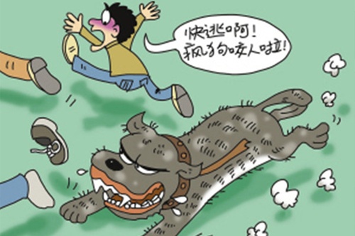 疯狗进村作乱，警方迅速处置…