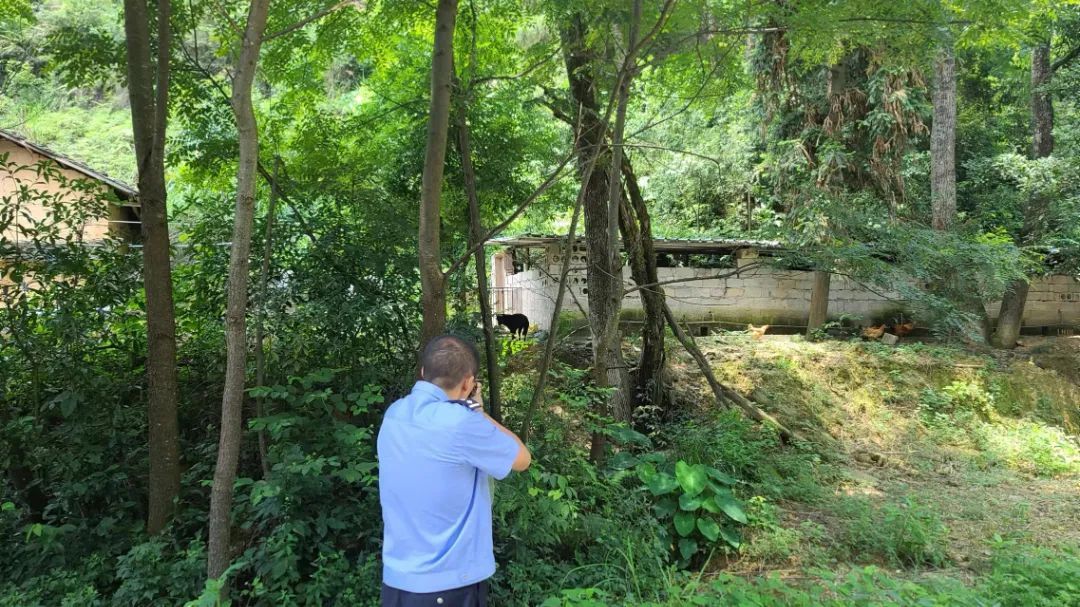 疯狗进村作乱，警方迅速处置…