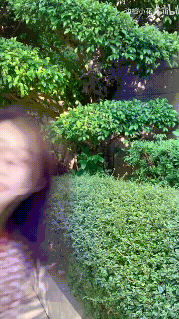 退役女兵开警务自媒体粉丝破百万