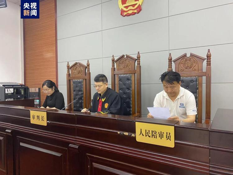 一男子冒充总台央视工作人员行骗 获刑7年