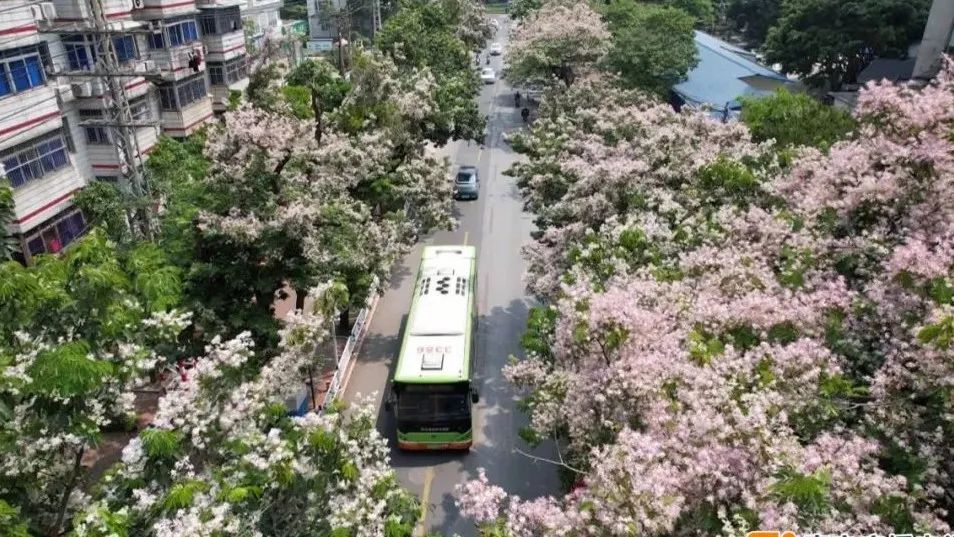 五一假期天气“剧透”：广西或迎局地暴雨到大暴雨！