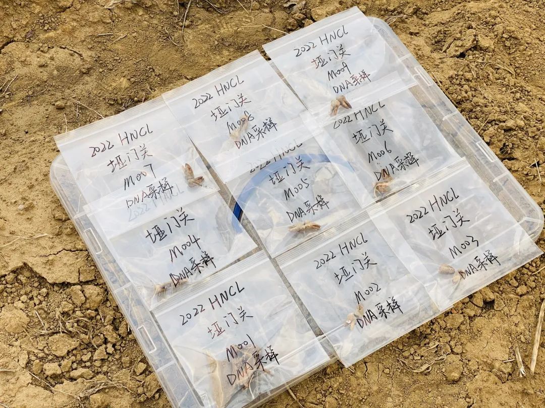 在张家界垭门关沉睡81年的M008号无名战士，我们终于知道了你的名字