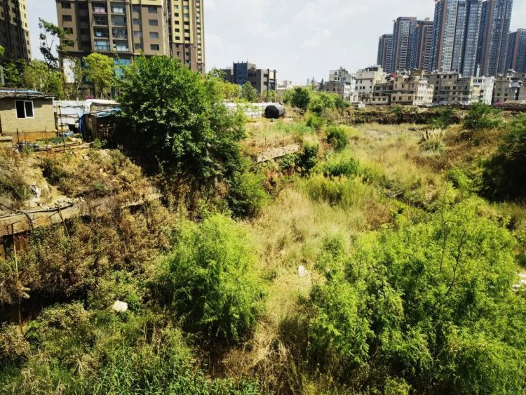 昆明一小区半夜传来怪叫声！住户：好像在废弃基坑里……