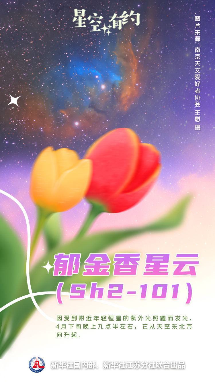 星空有约|春季,来看夜空中的神秘“花海” 星空有约|春季,来看夜空中的神秘“花海”