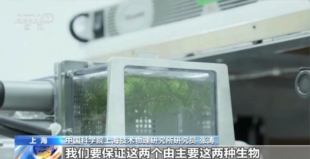 太空会师，“全家福”再+1！还有这几位特殊“成员”