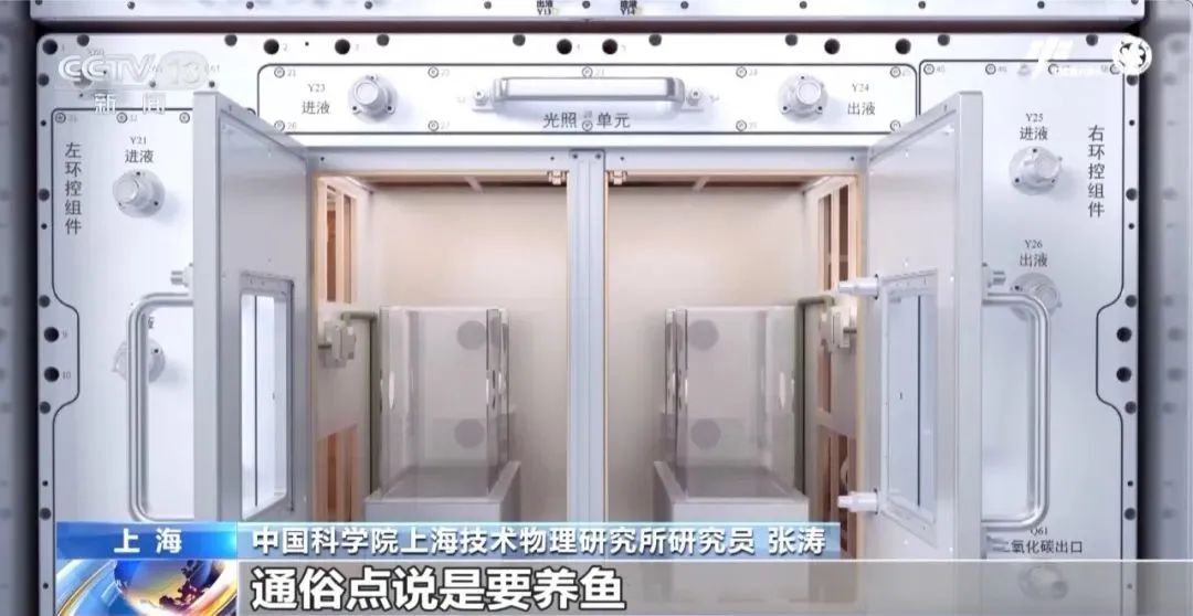 太空会师，“全家福”再+1！还有这几位特殊“成员”