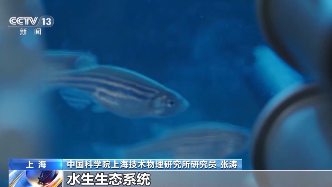 太空会师，“全家福”再+1！还有这几位特殊“成员”