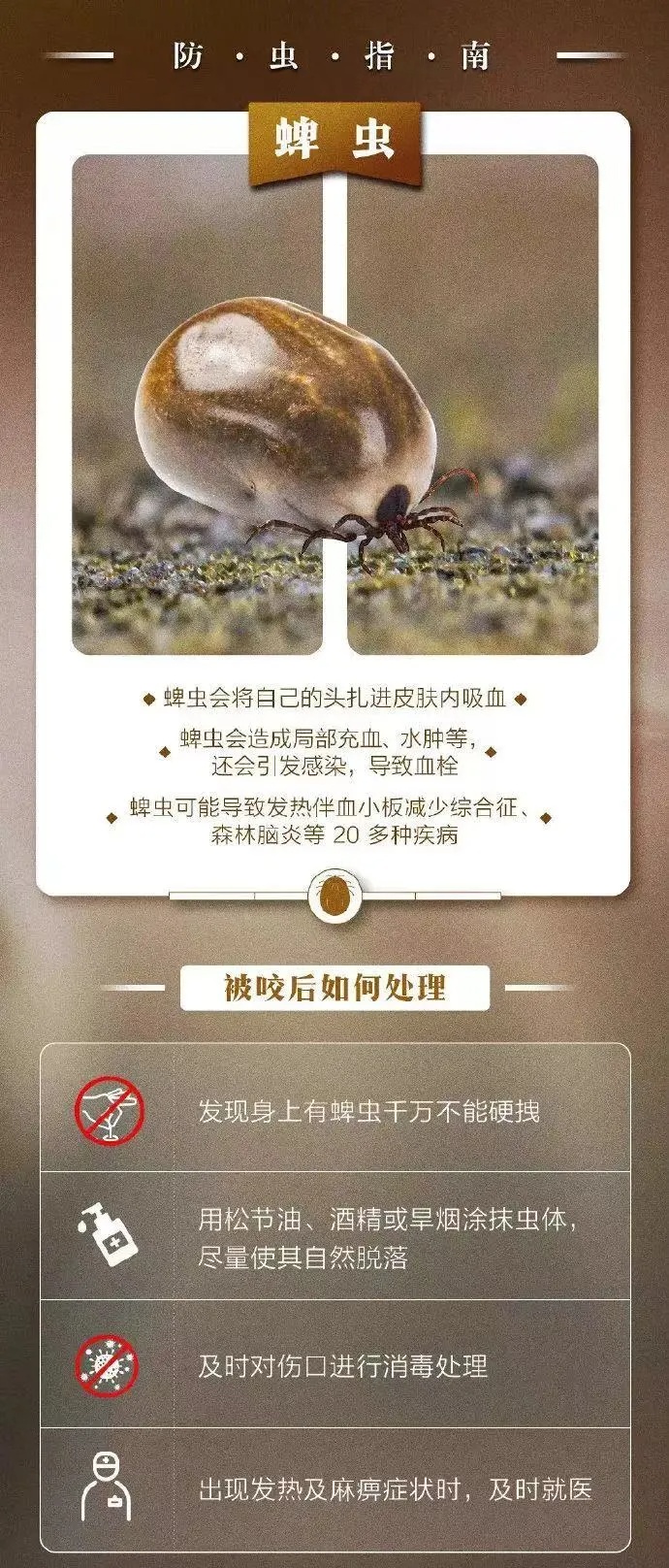 新型布尼亚病毒阳性!医生提醒:已进入高发期 新型布尼亚病毒阳性!医生提醒:已进入高发期