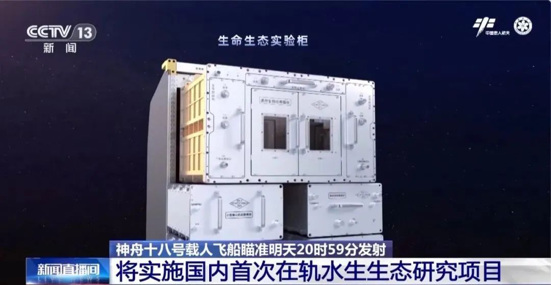 太空会师，“全家福”再+1！还有这几位特殊“成员”