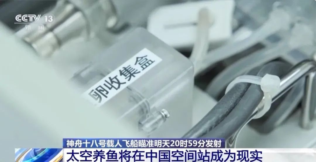 太空会师，“全家福”再+1！还有这几位特殊“成员”