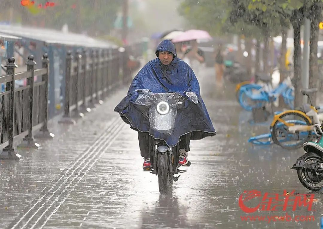 未到“龙舟水” 广东已暴雨连连 今年天气咋就这么反常？