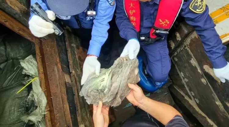 5.5吨冻牛百叶!广州海关查获一起利用渔船藏匿走私冻品案 5.5吨冻牛百叶!广州海关查获一起利用渔船藏匿走私冻品案