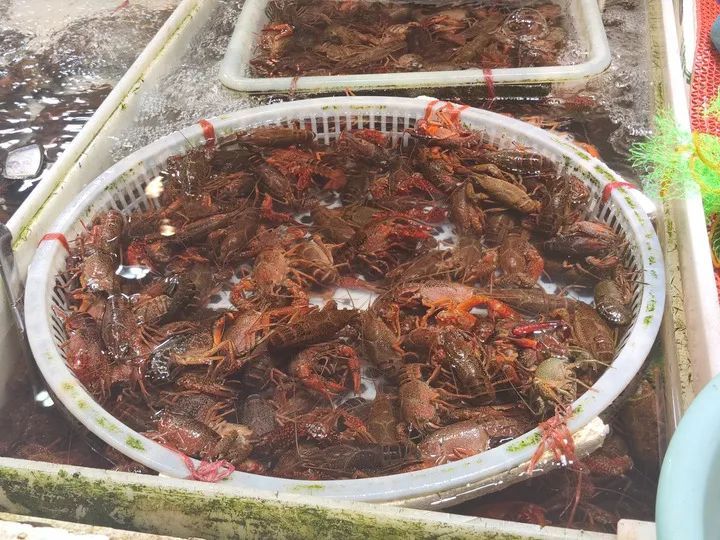 暴跌！10几元一斤！厦门人惊了：今年这么便宜……