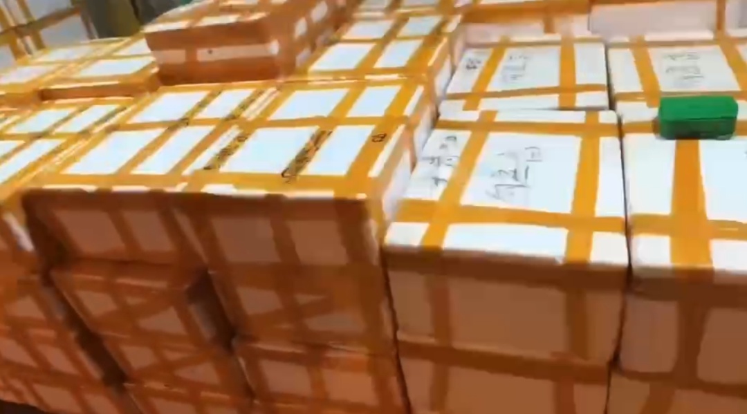 价格腰斩!浙江老板一天卖12000斤,今年特别便宜! 价格腰斩!浙江老板一天卖12000斤,今年特别便宜!