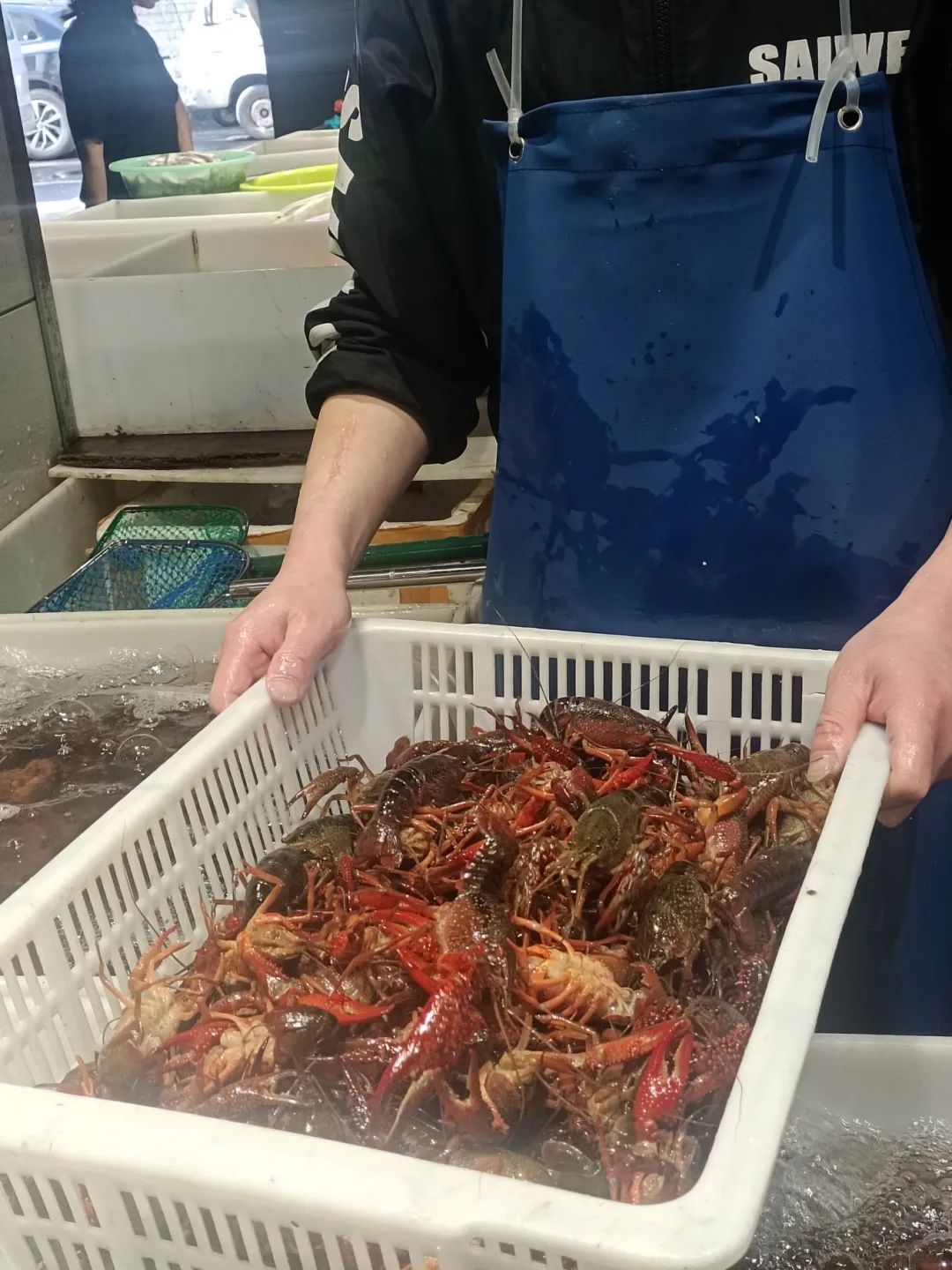 价格腰斩!浙江老板一天卖12000斤,今年特别便宜! 价格腰斩!浙江老板一天卖12000斤,今年特别便宜!