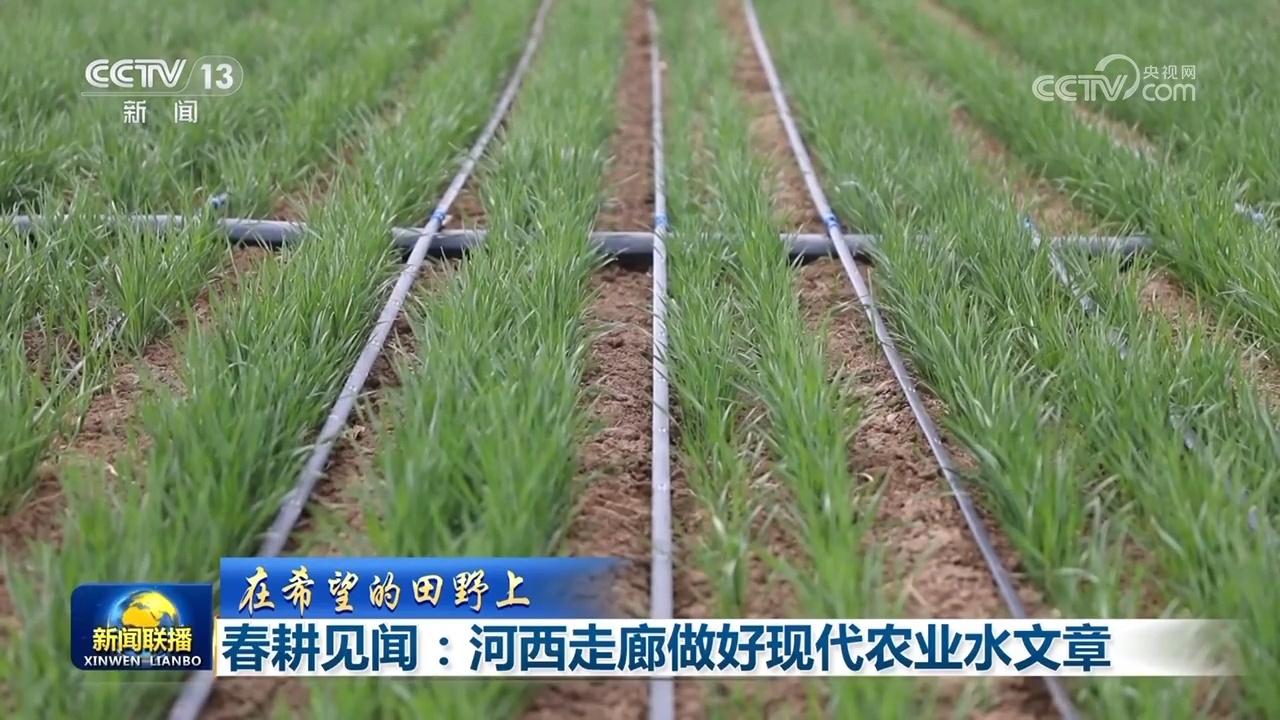 【在希望的田野上】春耕见闻:河西走廊做好现代农业水文章 【在希望的田野上】春耕见闻:河西走廊做好现代农业水文章