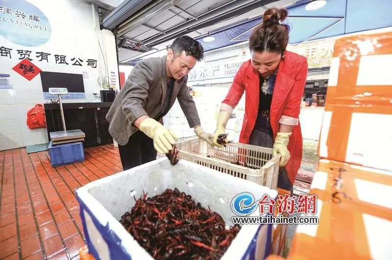 暴跌！10几元一斤！厦门人惊了：今年这么便宜……