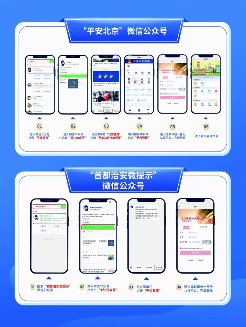 可网上办理！北京养犬年检工作5月1日启动