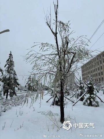 内蒙古局地遭遇4月罕见特大暴雪