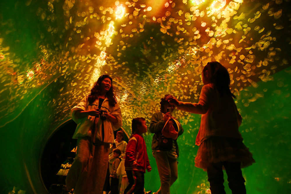 “深海奇幻”赏水母 “深海奇幻”赏水母