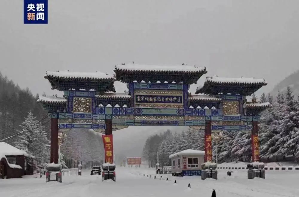 快五月了还雪花飘飘？河北一地出现降雪天气 积雪一尺多厚
