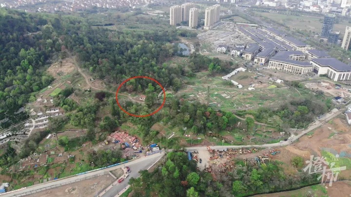 一到周末,这片墓地就传出尖锐鸣叫声!什么情况? 一到周末,这片墓地就传出尖锐鸣叫声!什么情况?