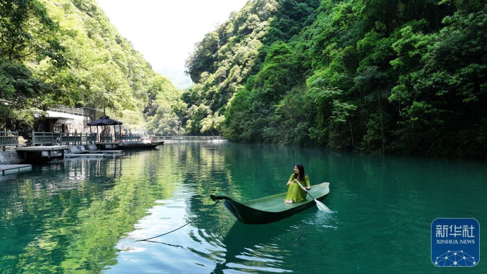 “箬叶”浮碧波 “箬叶”浮碧波