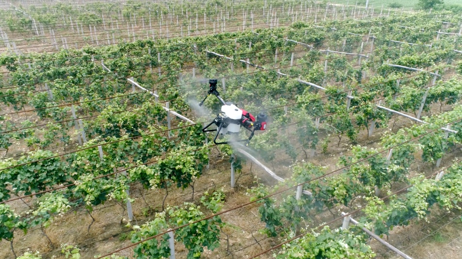 一个人轻松管理2000亩!这群回归田间地头的年轻人究竟有什么“魔力”? 一个人轻松管理2000亩!这群回归田间地头的年轻人究竟有什么“魔力”?