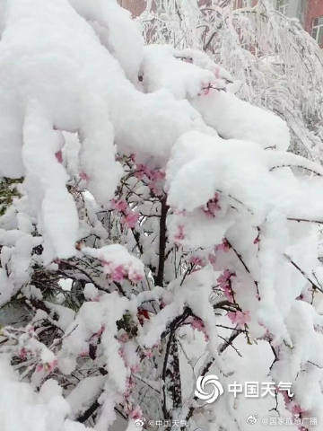 内蒙古局地遭遇4月罕见特大暴雪