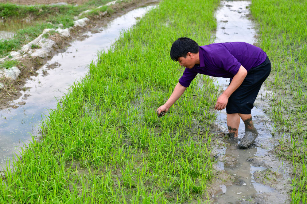 绝壁天渠上流淌的“生机”