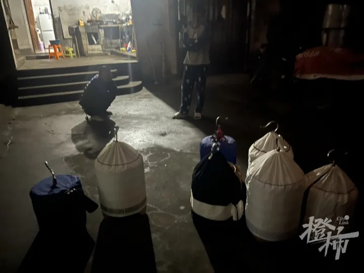 一到周末,这片墓地就传出尖锐鸣叫声!什么情况? 一到周末,这片墓地就传出尖锐鸣叫声!什么情况?