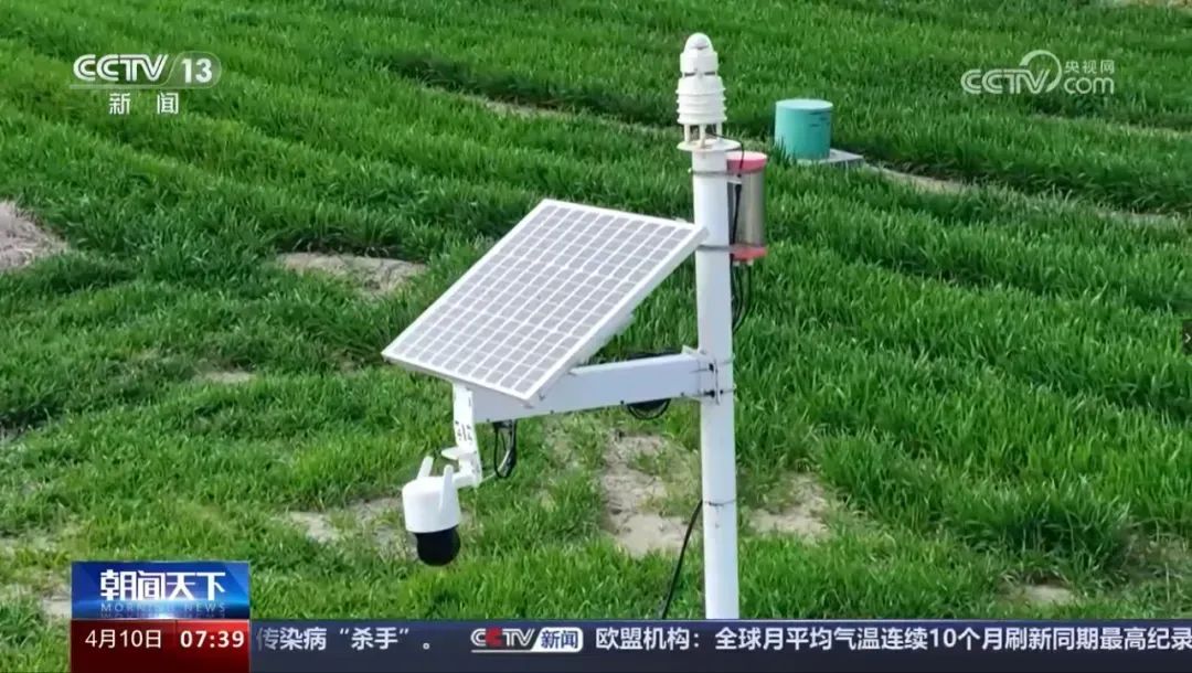 一个人轻松管理2000亩!这群回归田间地头的年轻人究竟有什么“魔力”? 一个人轻松管理2000亩!这群回归田间地头的年轻人究竟有什么“魔力”?