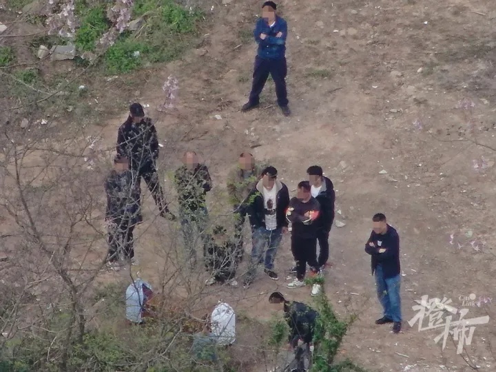 一到周末,这片墓地就传出尖锐鸣叫声!什么情况? 一到周末,这片墓地就传出尖锐鸣叫声!什么情况?