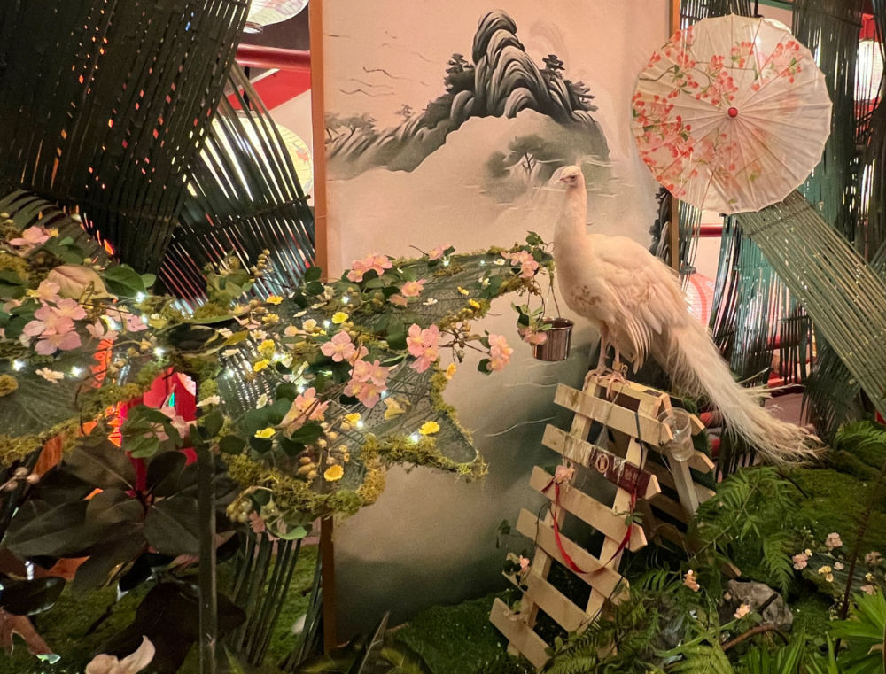 五一出行看保障｜玩得尽兴！看热门景区如何提升旅游体验