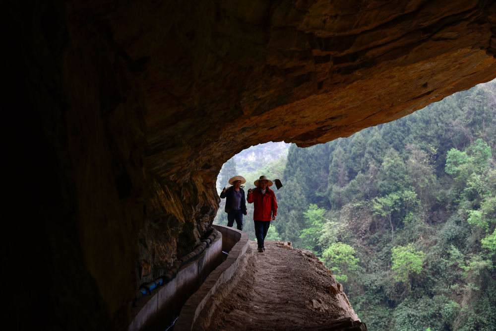 绝壁天渠上流淌的“生机”
