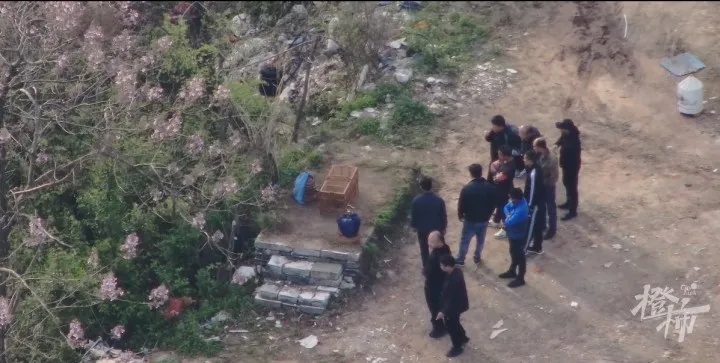 一到周末,这片墓地就传出尖锐鸣叫声!什么情况? 一到周末,这片墓地就传出尖锐鸣叫声!什么情况?