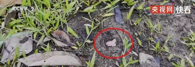 小心!不要碰!不要吃! 小心!不要碰!不要吃!